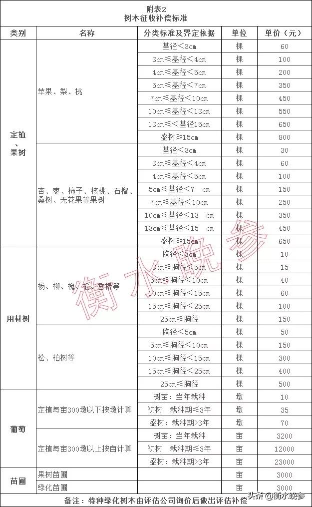 石衡沧黄铁路新进展，共筑繁荣美好未来启航记