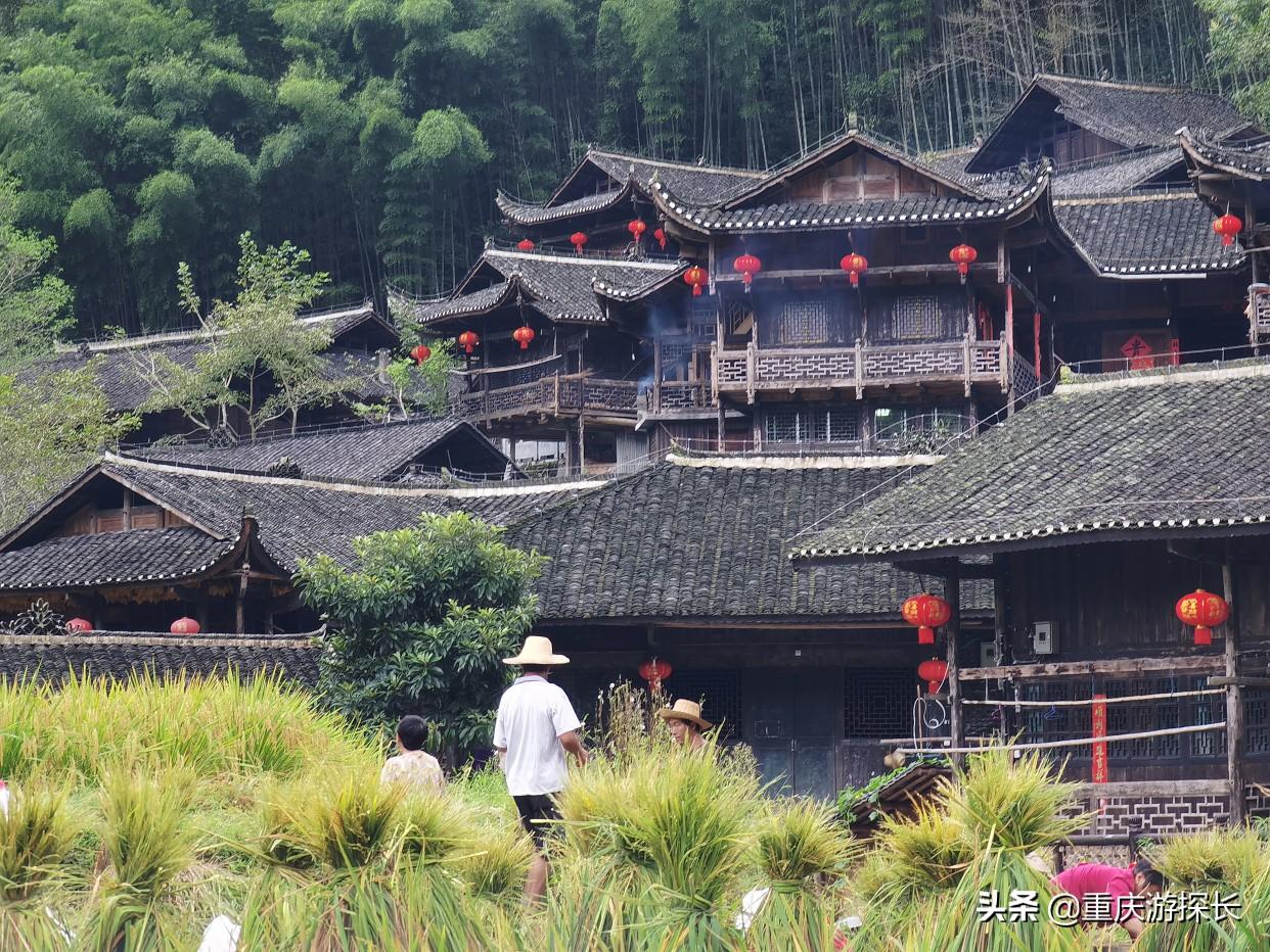 宣恩贡水龙城喜讯连连，美好未来启航在即