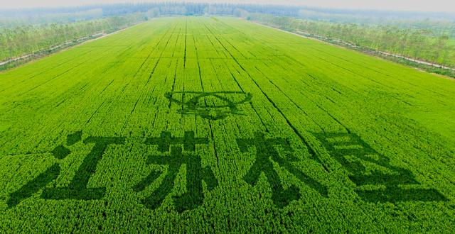 2025年1月12日 第53页