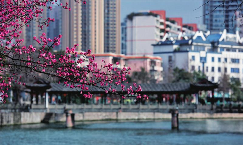 花城广汉春意盎然，四季景致更新美不胜收