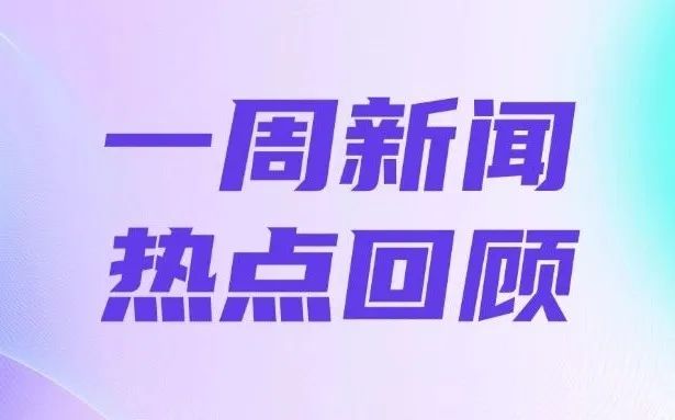 宅男必备，频道资讯速递——最新精彩内容盘点